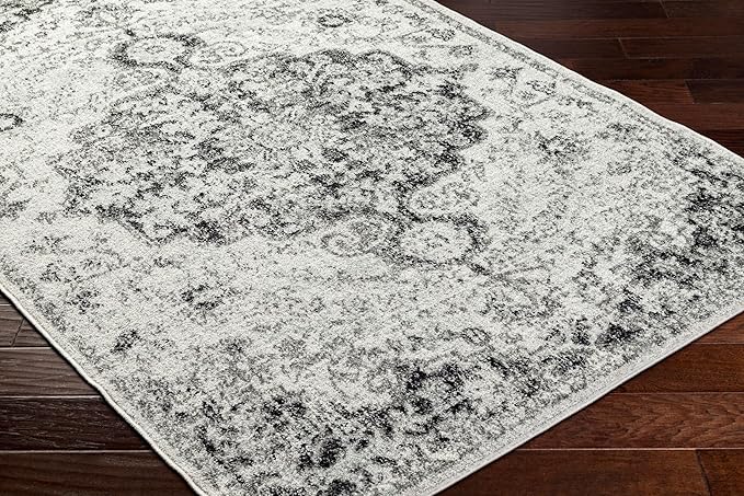 Livabliss Odelia Vintage Bohemian Area Rug,2' x 3',Black