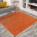 JONATHAN Y Haze Solid Low-Pile Orange 9x9 Square Indoor Area Rug, Coastal,Bohemian,Minimalist,Classic, Easy-Cleaning for Living Room,Bedroom,Kitchen,Pet Friendly,Non-Shedding (SEU100M-9SQ)