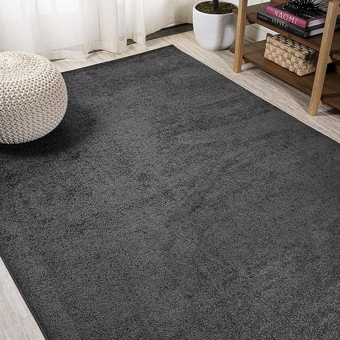 Eyely UES100I-9 Supersoft Haze Solid Low-Pile Indoor Area Rug Casual;Contemporary;Solid;Traditional, Bedroom, Kitchen, Living Room, Easy-Cleaning, Non-Shedding, 9 X 12, Black