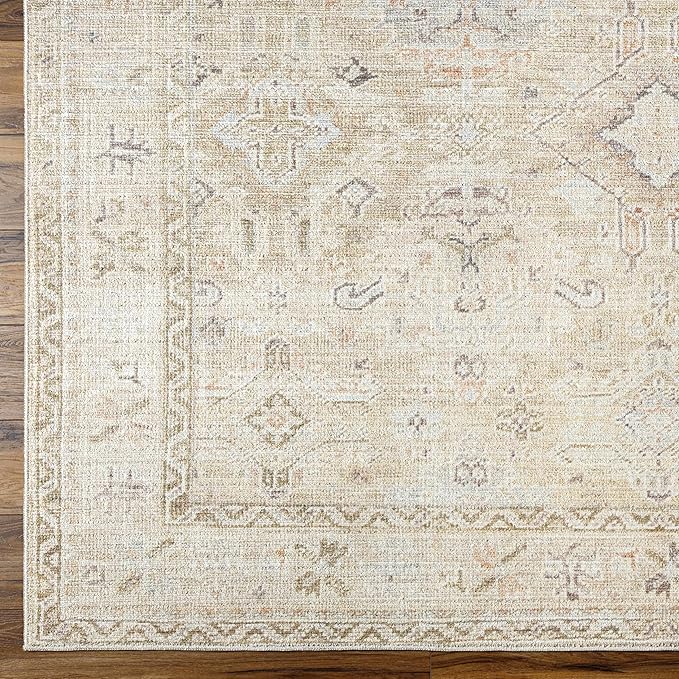 Hauteloom Nakia Bohemian Vintage Medallion Area Rug - Damask Floral Fade Look Carpet for Living Room, Farmhouse - Ivory, Cream, Medium Brown - 5'3" x 7' (5x7 Area Rug)