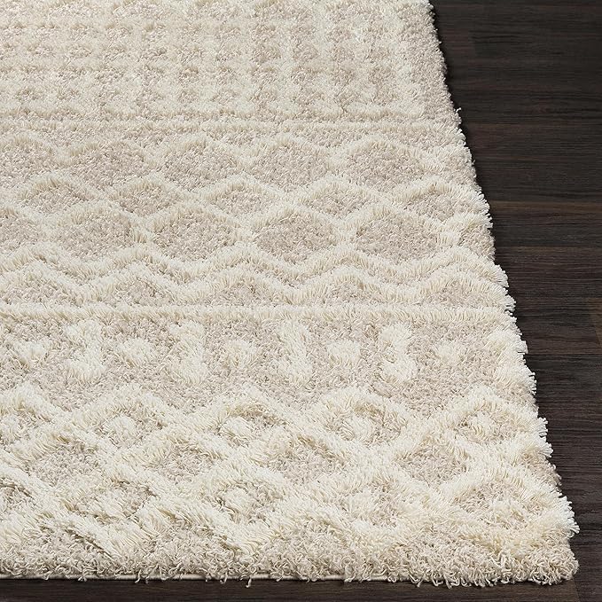 Livabliss Hapsburg Moroccan Shag Area Rug, 2'7" x 5', Beige