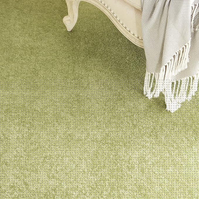Nourison Home Nourison Essentials Green 9' x 12' Area Rug - Easy Clean, Non Shedding, Bed Room, Living Room, Dining Room, Kitchen (9' x 12')