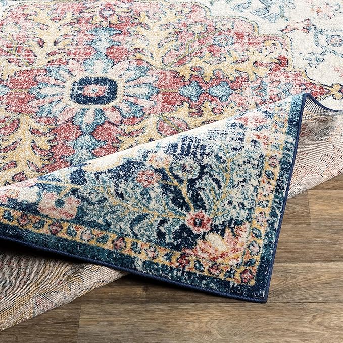 Livabliss Area Rugs - 9x12 Odelia Vintage Boho Aqua Burgandy Blue Area Rug for Living Room Bedroom - Floral Medallion Stain Resistant Carpet for Kitchen, Nursery, Office (8'10" x 12')