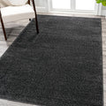 Eyely UES100I-4 Supersoft Haze Solid Low-Pile Indoor Area Rug Casual;Contemporary;Solid;Traditional, Bedroom, Kitchen, Living Room, Easy-Cleaning, Non-Shedding, 4 X 6, Black