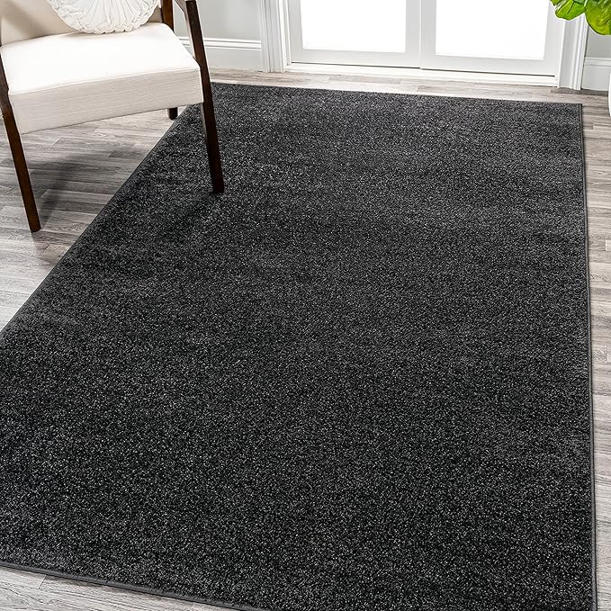 Eyely UES100I-8 Supersoft Haze Solid Low-Pile Indoor Area Rug Casual;Contemporary;Solid;Traditional, Bedroom, Kitchen, Living Room, Easy-Cleaning, Non-Shedding, 8 X 10, Black