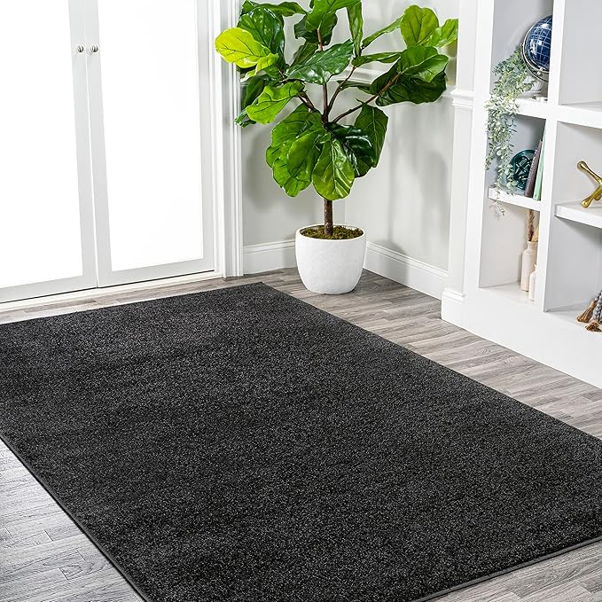Eyely UES100I-14 Supersoft Haze Solid Low-Pile Indoor Area Rug, Coastal, Bohemian, Minimalist, Classic, Casual for Bedroom,Kitchen,Living Room,Non Shedding,Easy-Washing, Black, 10 X 14