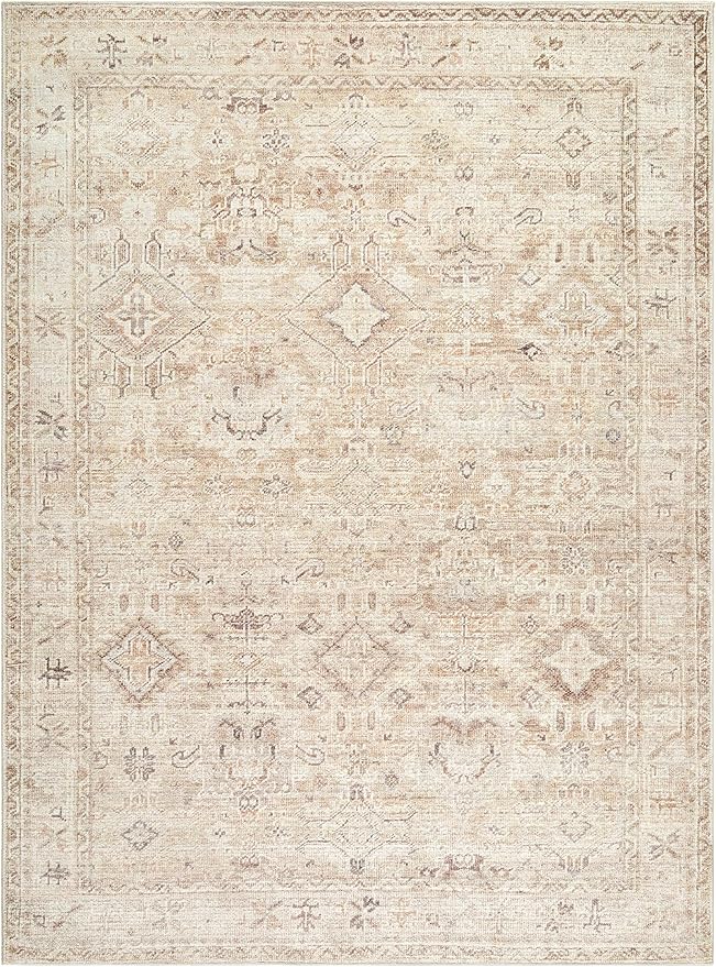 Hauteloom Nakia Living Room, Bedroom Area Rug - Traditional - Beige, Taupe, Ivory - 9'11" x 14'